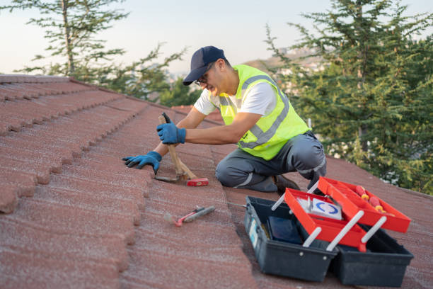 Best Roof Leak Repair  in Kidron, OH